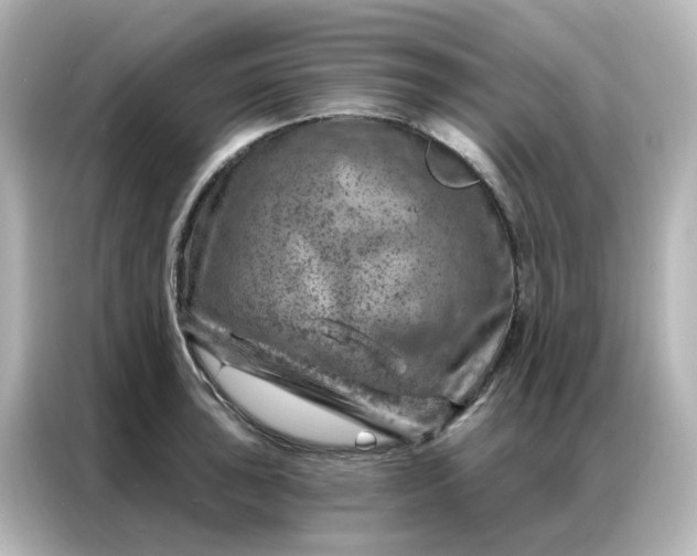X0000087001043200704301353
