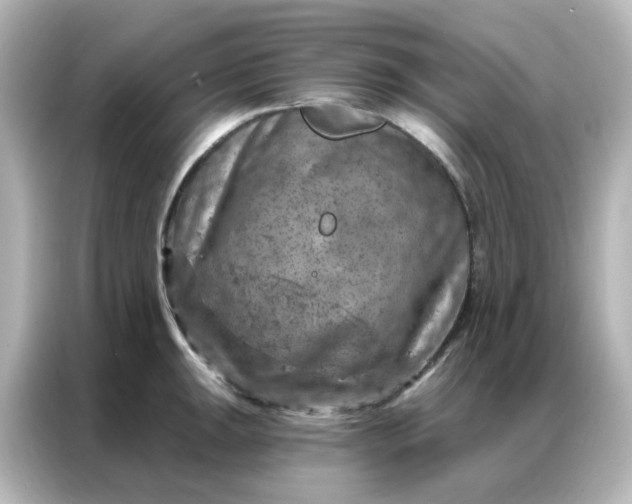 X0000087001047200704301353