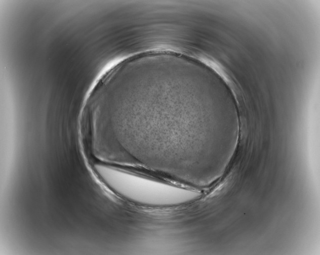 X0000087001048200704301353