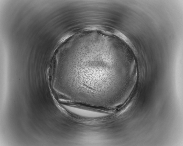 X0000087001049200704301354