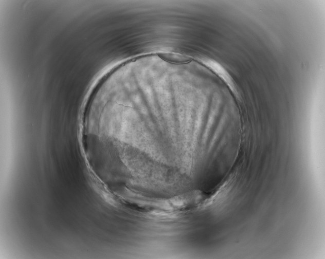 X0000087001051200704301354