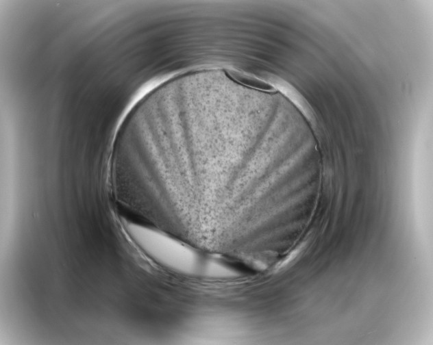 X0000087001052200704301354