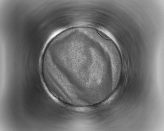 X0000087001053200704301354