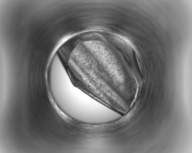 X0000087001054200704301354