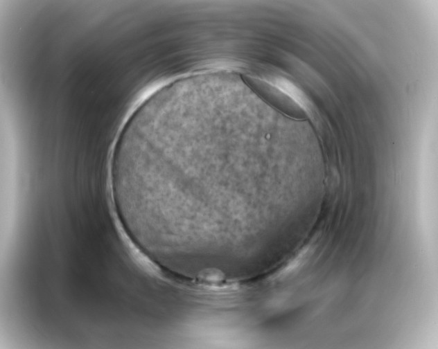 X0000087001055200704301354
