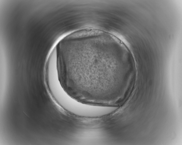 X0000087001056200704301354