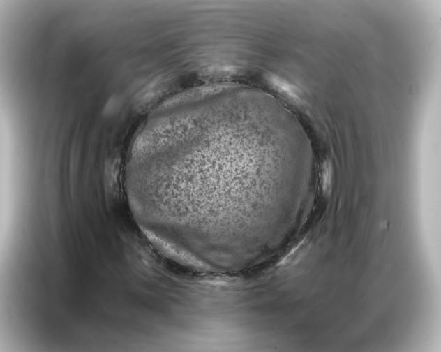 X0000087001059200704301353