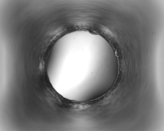 X0000087001061200704301353