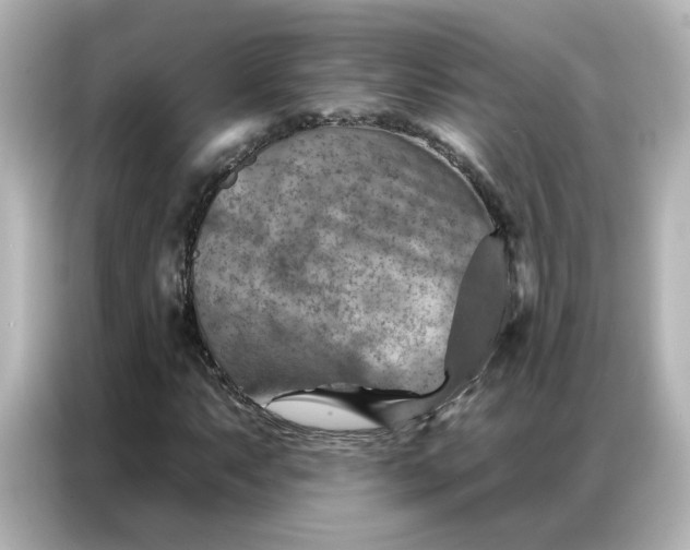 X0000087001063200704301353