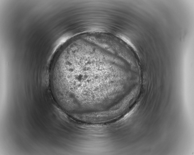 X0000087001067200704301353