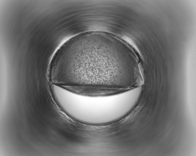 X0000087001068200704301353