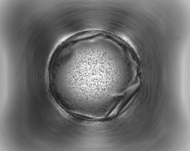 X0000087001072200704301353