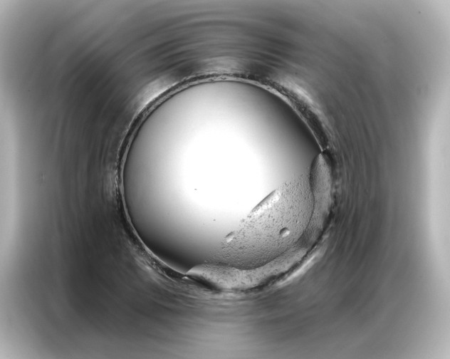 X0000087001073200704301353