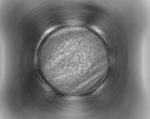X0000087001074200704301353