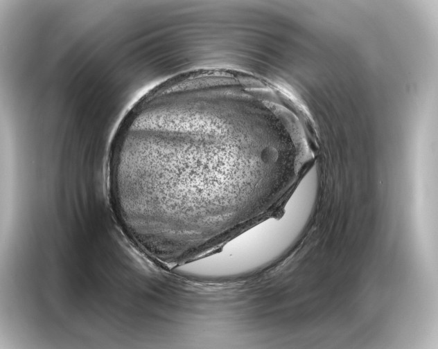 X0000087001076200704301353
