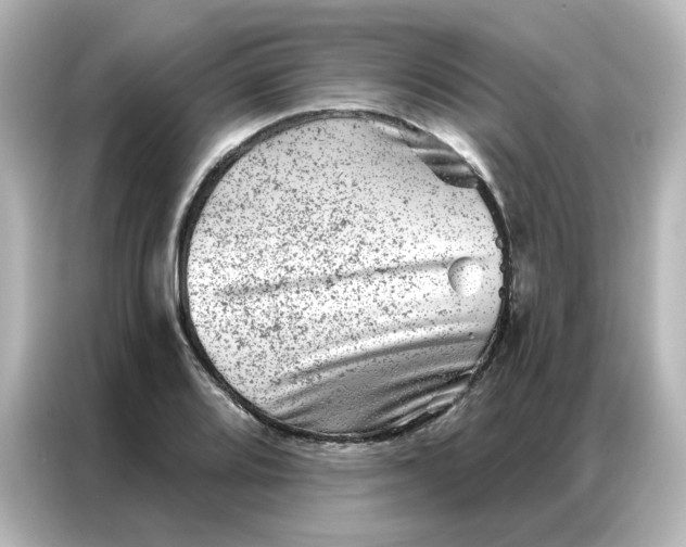X0000087001080200704301353