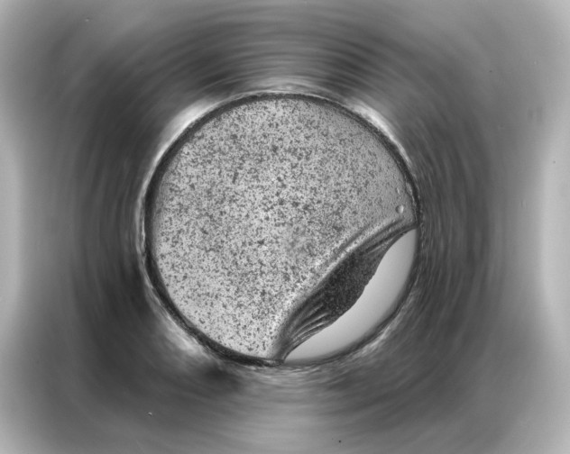 X0000087001082200704301353