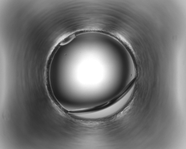 X0000087001085200704301353
