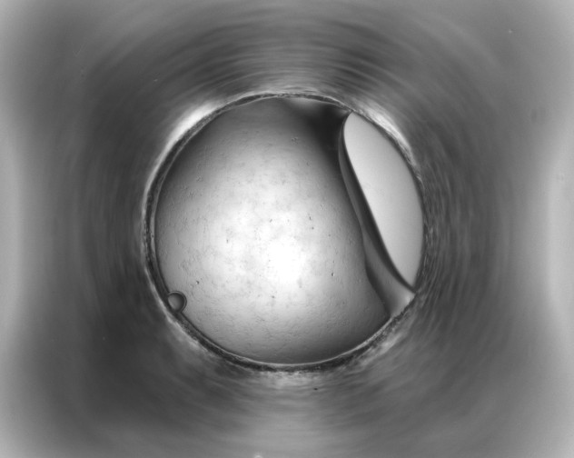 X0000087001087200704301353