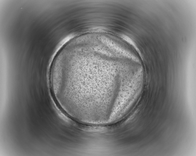 X0000087001090200704301353