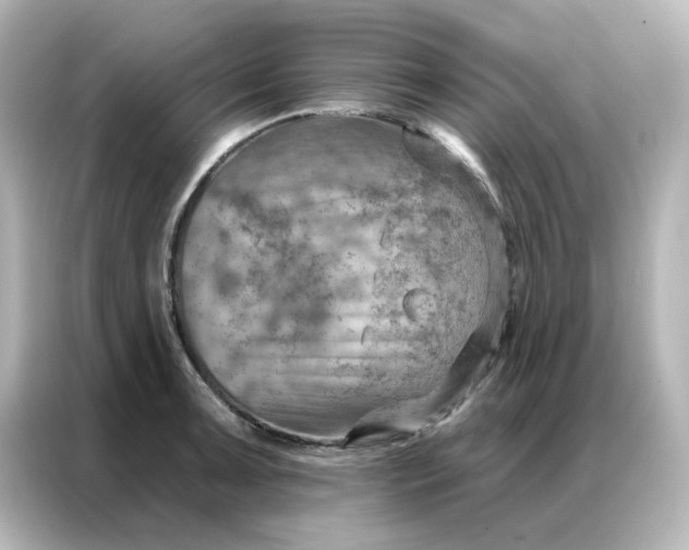 X0000087001091200704301353
