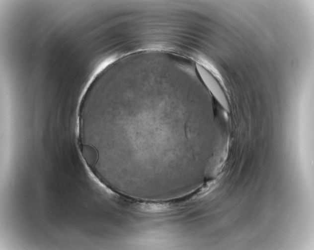 X0000087001095200704301352