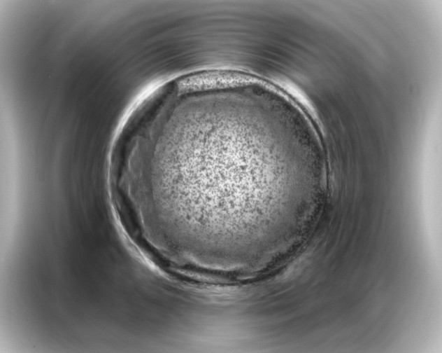 X0000087001096200704301352