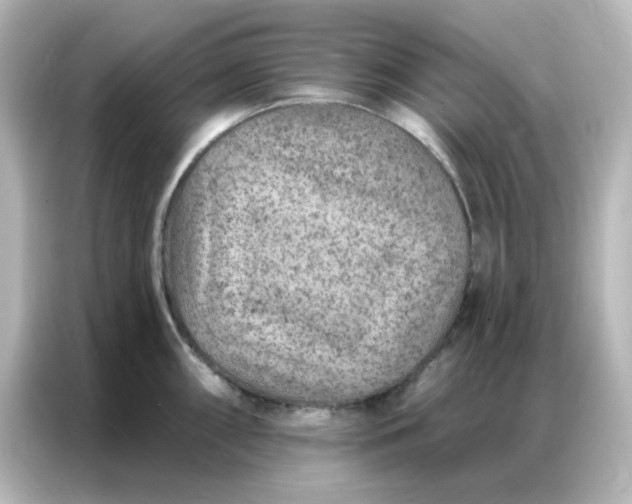 X0000087001098200704301352