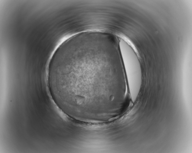 X0000087001099200704301352