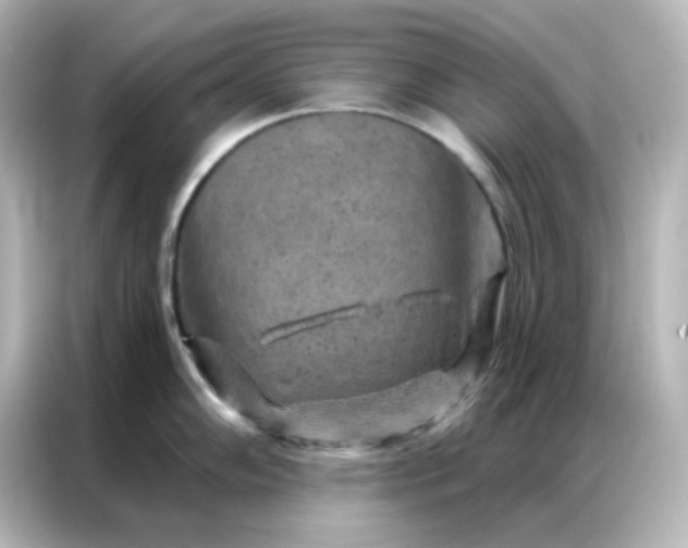 X0000087001102200704301352