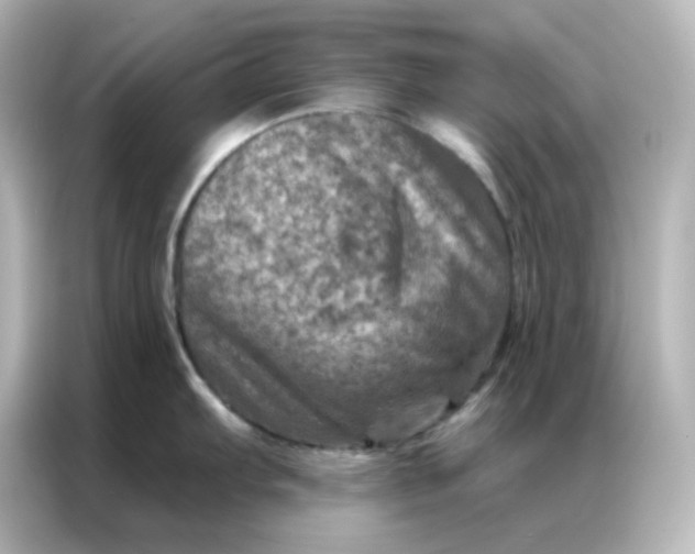 X0000087001103200704301352