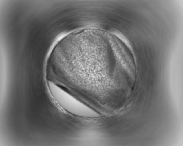 X0000087001104200704301352