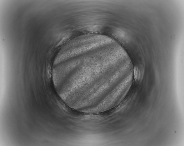 X0000087001107200704301352