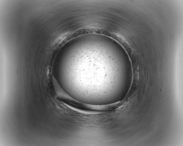 X0000087001110200704301352