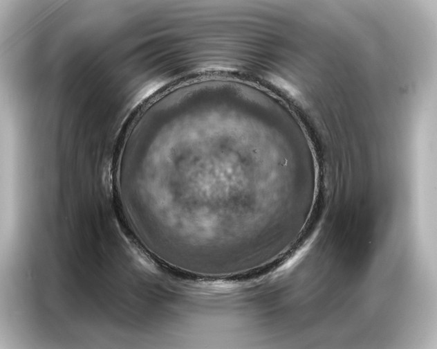X0000087001113200704301352