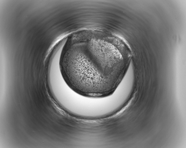 X0000087001114200704301352