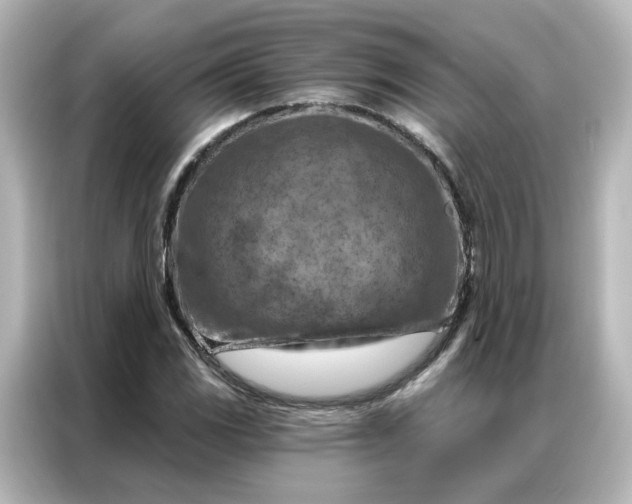 X0000087001117200704301352