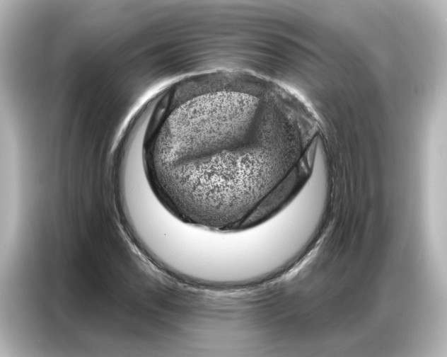 X0000087001118200704301352