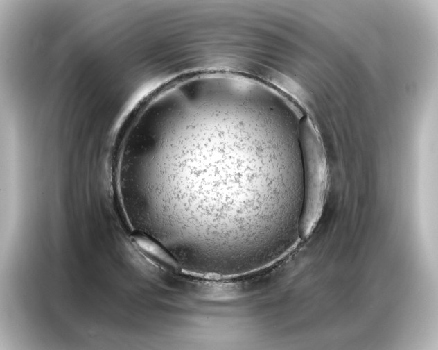 X0000087001120200704301352