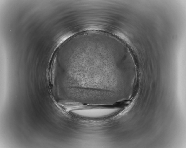 X0000087001121200704301352
