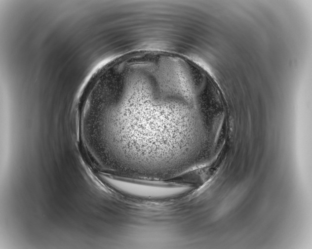 X0000087001123200704301352
