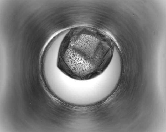 X0000087001124200704301352
