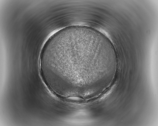 X0000087001125200704301352