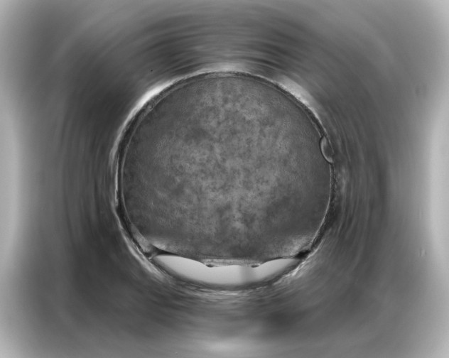 X0000087001127200704301352
