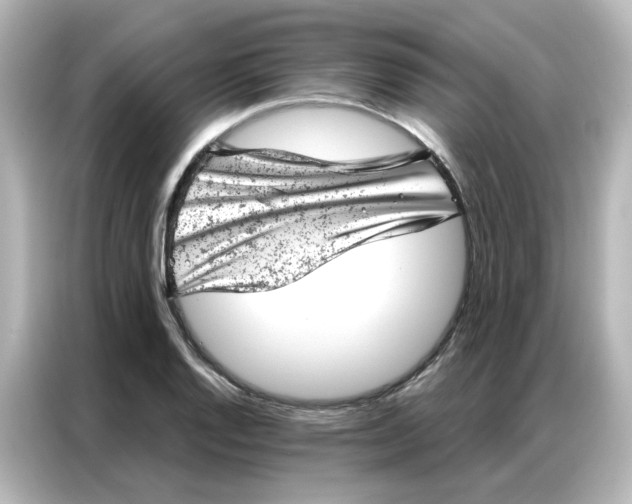 X0000087001128200704301352