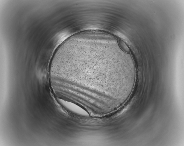 X0000087001129200704301352