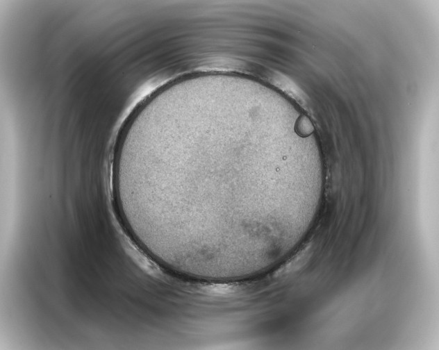 X0000087001130200704301352