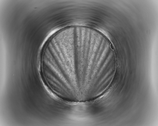 X0000087001131200704301352
