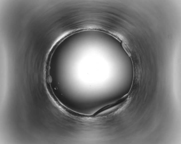 X0000087001134200704301352