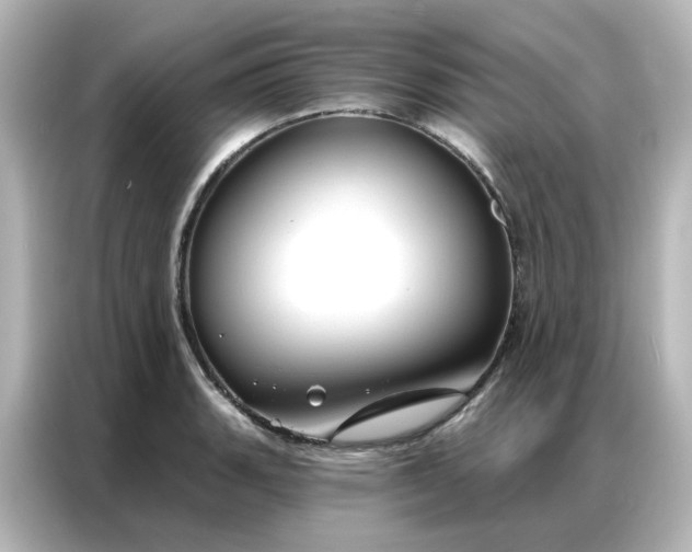 X0000087001135200704301352